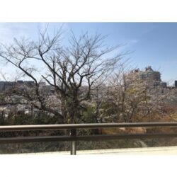 池尻大橋駅徒歩10分。ゲートをくぐれば、そこは邸宅という名の別世界。
マスタービューレジデンス